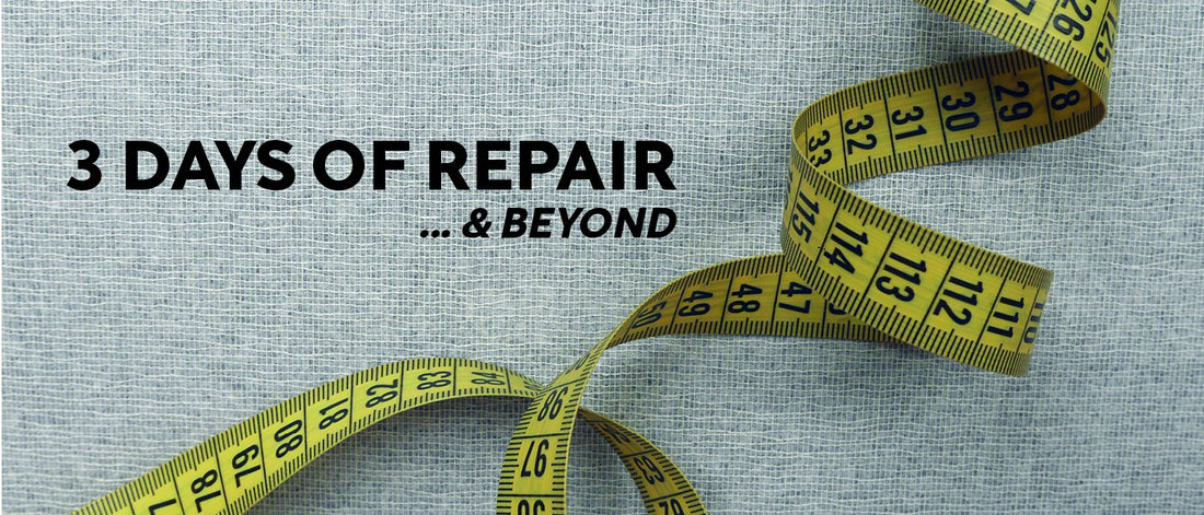 3 Days of Repair… & Beyond