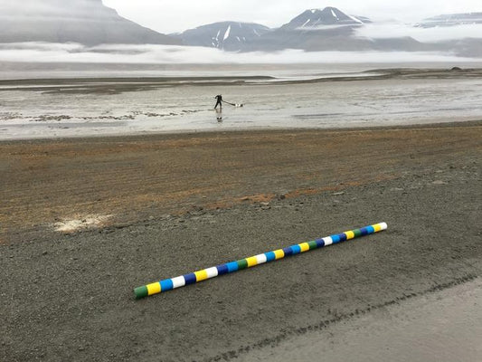 VORES STRIBEDE STAV TAGER TIL SVALBARD