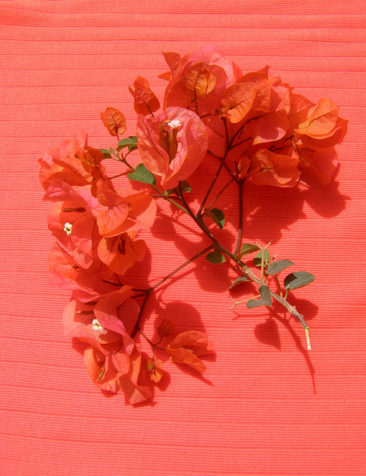 NPS Nova Pants lanceres i 7 nye farver