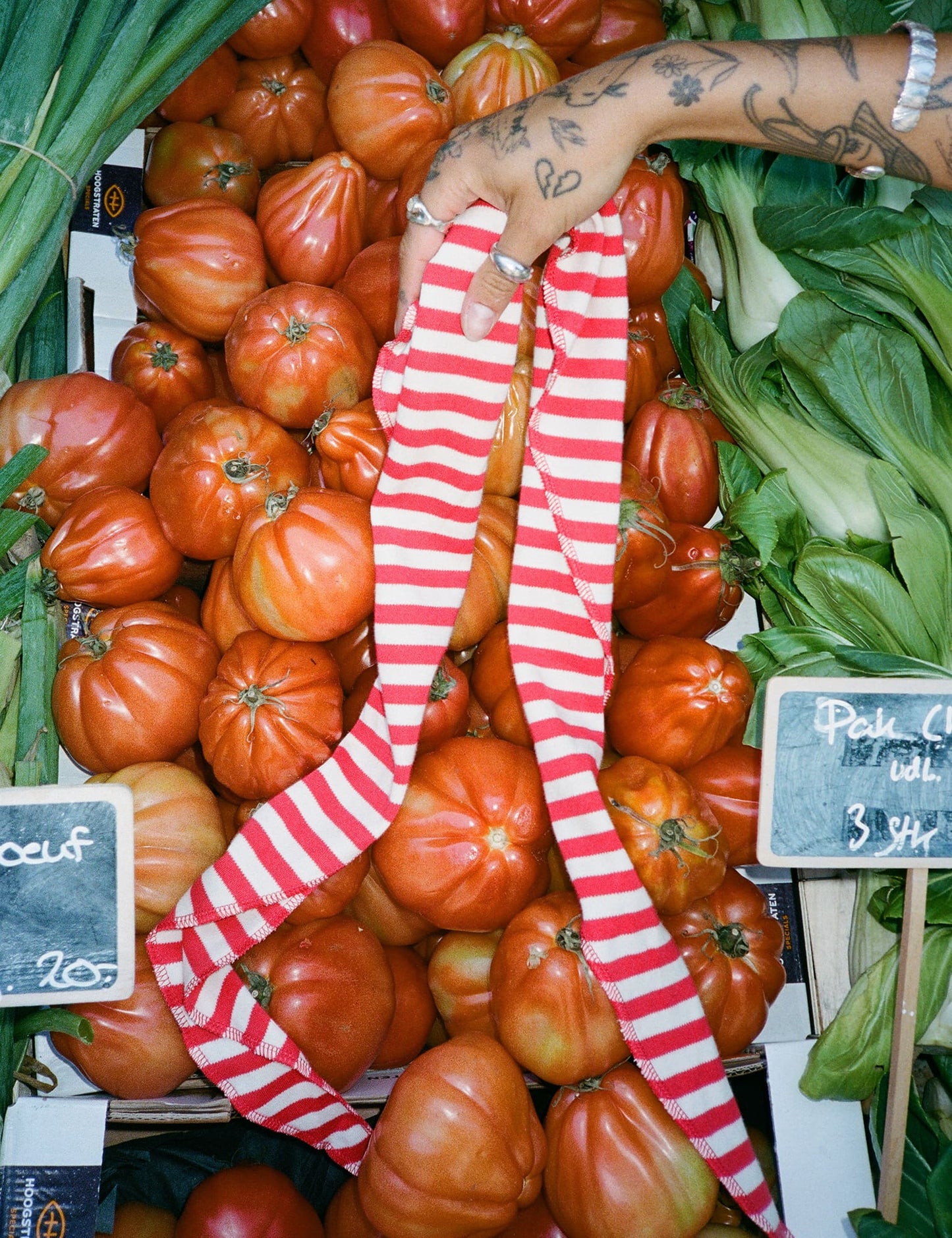 NPS Scarf Triangle, Red/Ecru