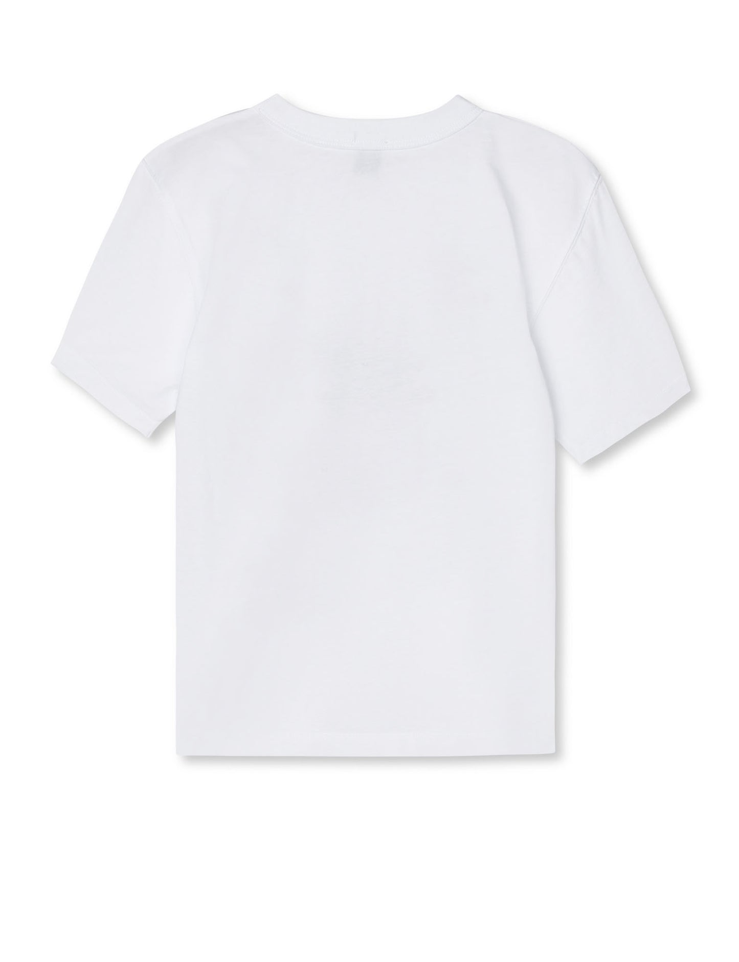 Dry Single Theo Tee, Snow White/Flying