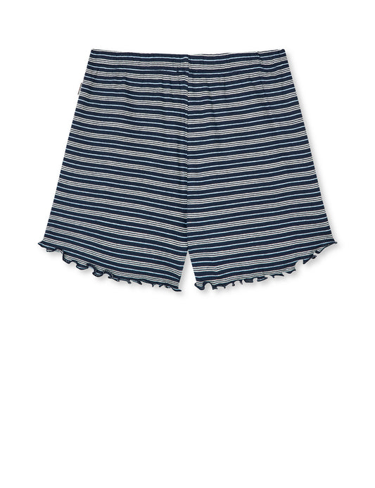 2x2 Cotton Stripe Prixa, Sky Captain/Vanilla Ice/Cashme