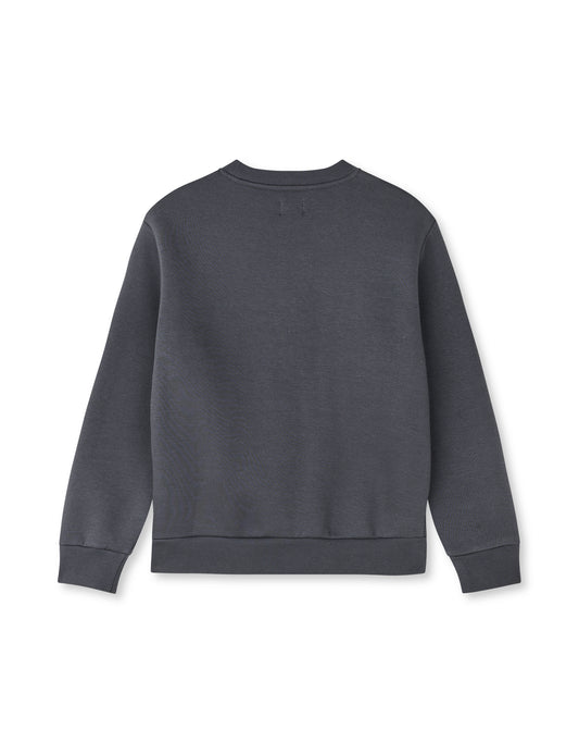 Mix Sweat N Sonar Sweatshirt, Asphalt