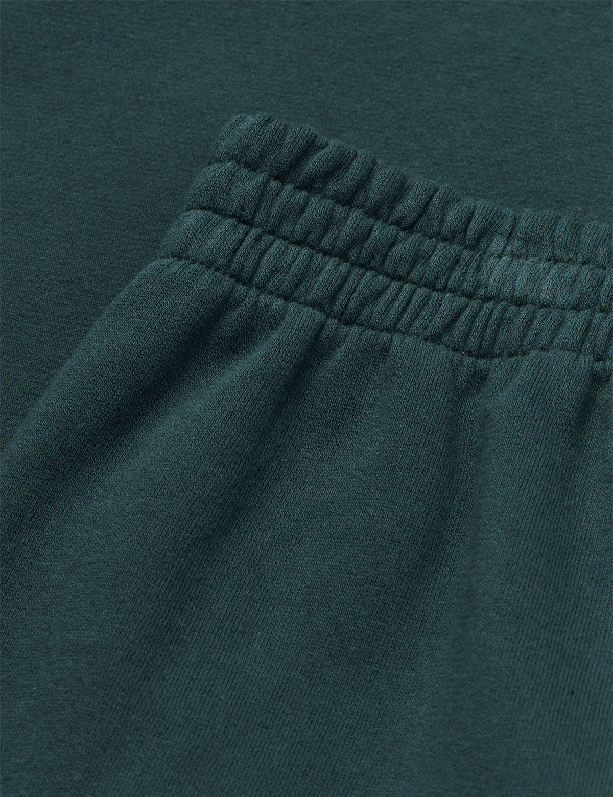 Cotton Light Sweatpants, Magical Forest